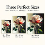 Crimson and Ivory Rose on a Dark Background: sizes