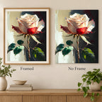Crimson and Ivory Rose on a Dark Background: frame comparison