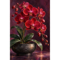 Deep red orchids against a dark velvet background: original artwork on a white background