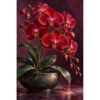 Deep red orchids against a dark velvet background: original artwork on a white background