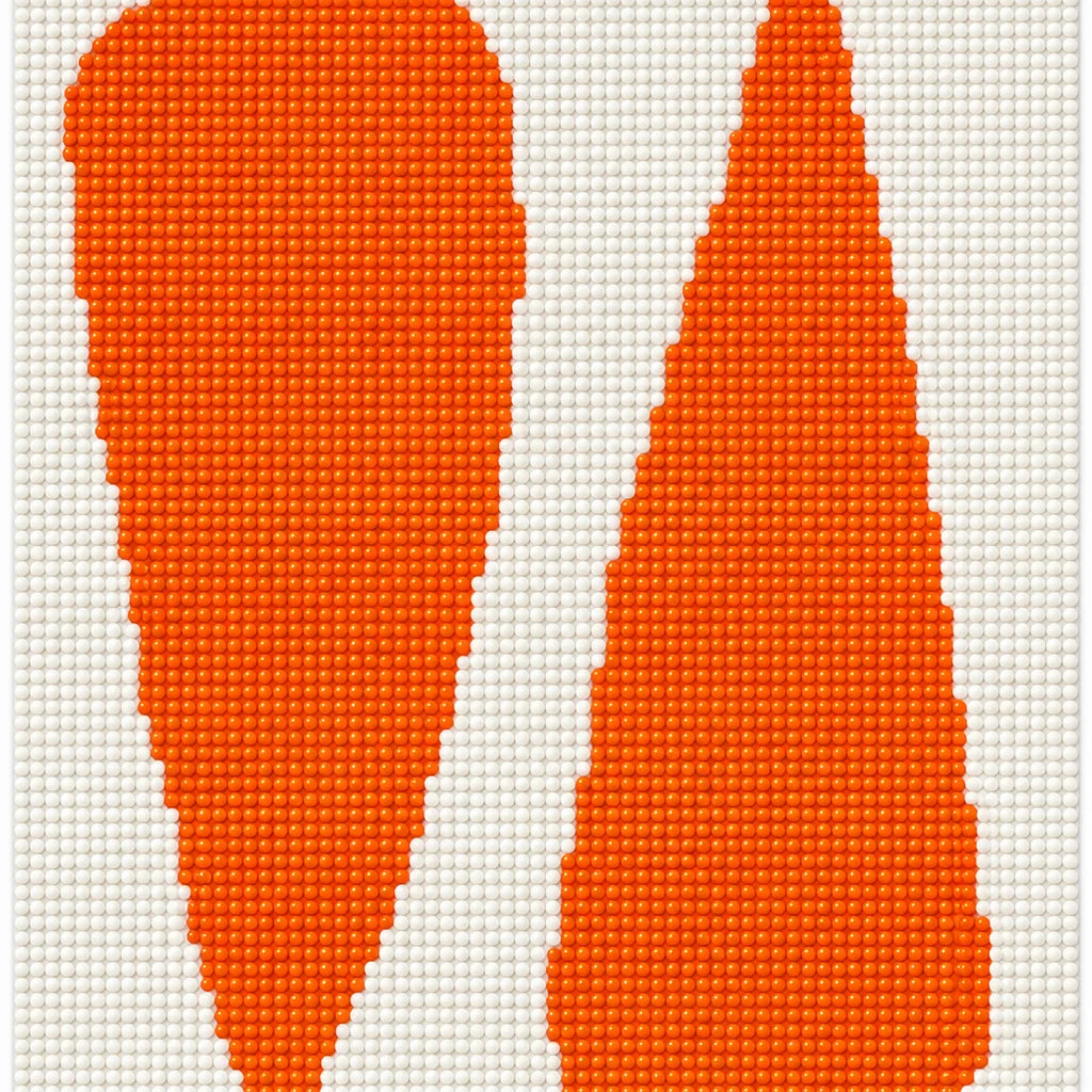 Finished diamond painting of two orange carrots with the words “Eat Another Carrot”.