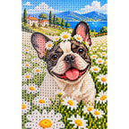 French Bulldog Daisy Field Diamond Painting Kit diamond and canvas detail