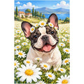 French Bulldog Daisy Field original artwork on white background