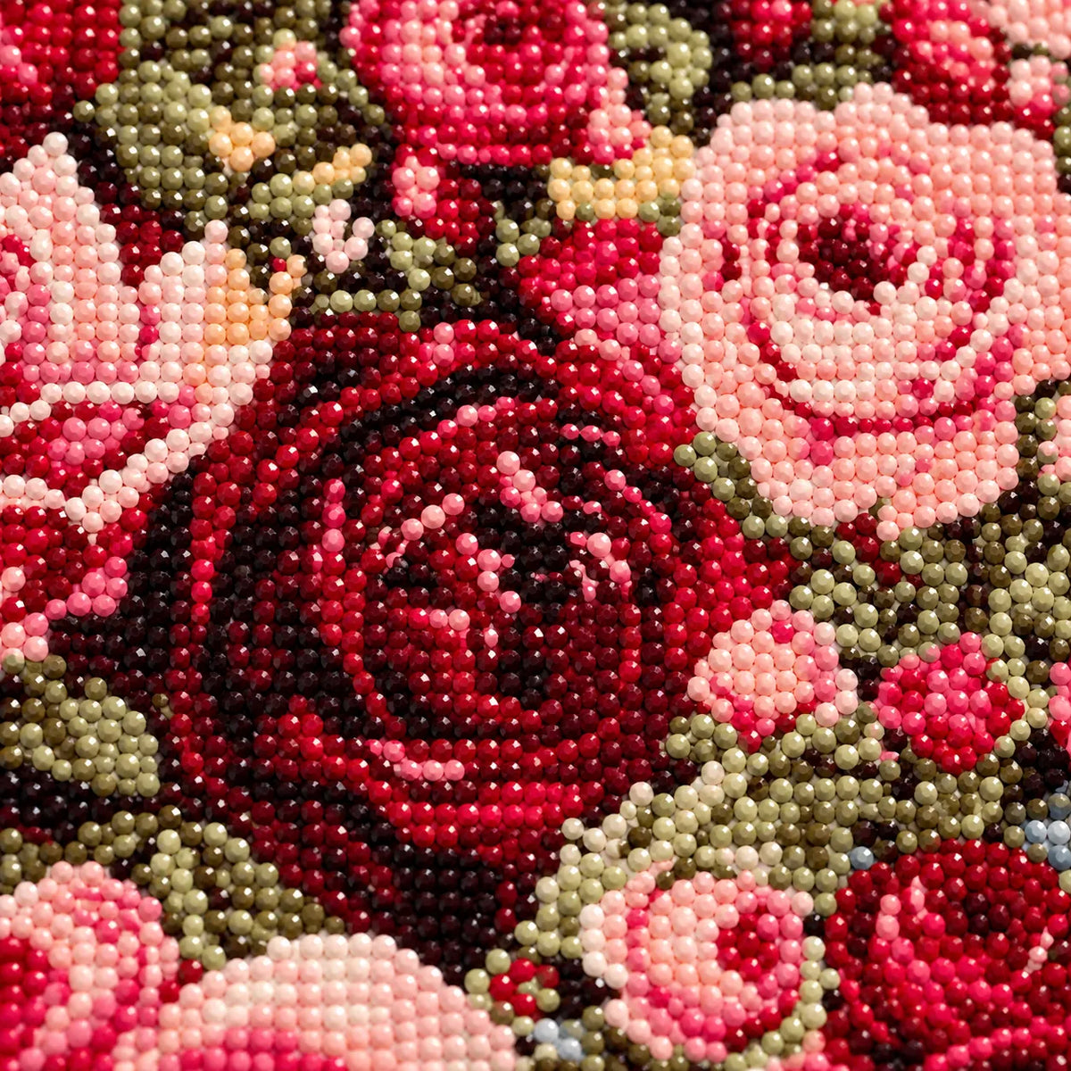 Close-up of diamond drill details in garden of blushing roses.