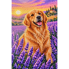 Golden Retriever Lavender Sunset Diamond Painting Kit diamond and canvas detail