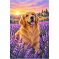 Golden Retriever Lavender Sunset original artwork on white background
