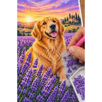Golden Retriever Lavender Sunset Diamond Painting Kit diamond placement process