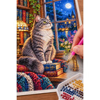 Gray Cat Cozy Library Window Diamond Painting Kit — diamond painting application process