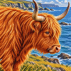 Close-up of sparkling drills on the Highland Cow Coastal Profile design