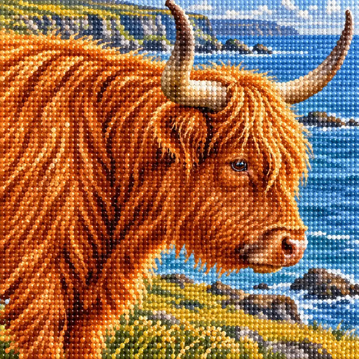 Close-up of sparkling drills on the Highland Cow Coastal Profile design