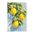Lemons and white blossoms on a blue textured background: original artwork