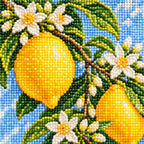 Bright lemons with delicate white blossoms: close-up of diamond drills
