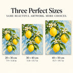 Bright lemons with delicate white blossoms: size guide showing three available dimensions