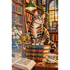 Library Cat & Books Diamond Painting Kit diamond and canvas detail