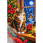 Maine Coon Winter Poinsettias Diamond Painting Kit — canvas and drill material detail