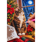 Maine Coon Winter Poinsettias Diamond Painting Kit — diamond painting application process