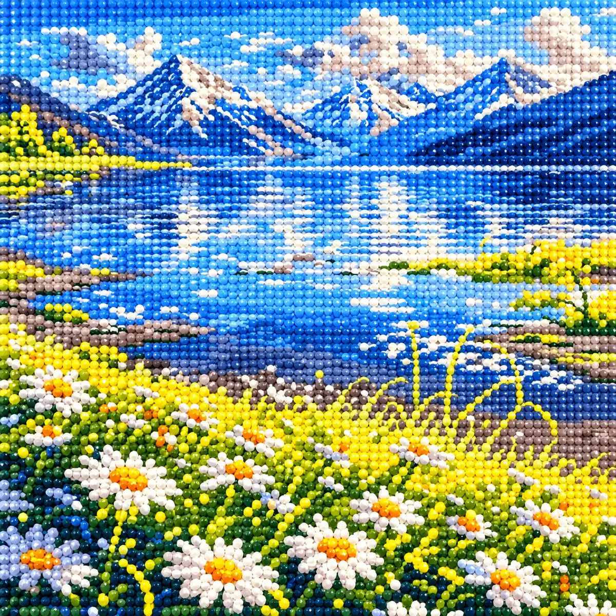 Close-up of drill texture and details in a daisy-filled meadow beside an alpine lake beneath snowy peaks.