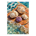 Original Sea Urchins and Shells artwork on a white background.