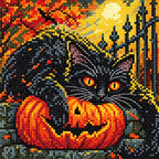 Diamond detail for Midnight Guardian Diamond Painting Kit
