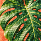Glossy monstera leaves in a cream planter against a coral wall and checkerboard floor: close-up of the diamond drills
