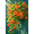 Orange nasturtiums spilling from a hanging basket: original artwork on a white background