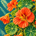 Orange nasturtiums spilling from a hanging basket: close-up of diamond drills