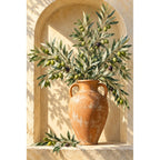 Olive branches with green and purple olives in a terracotta urn inside a sunlit arched niche: original artwork on a clean white background
