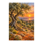 Original artwork of an olive grove and old olive trees at sunset.