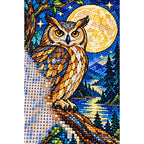 Owl Full Moon Forest Diamond Painting Kit — canvas and drill material detail