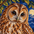 Owl with pears on a moonlit branch: close-up of the diamond drills