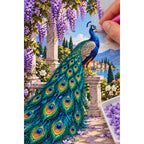 Peacock Wisteria Garden Diamond Painting Kit diamond placement process