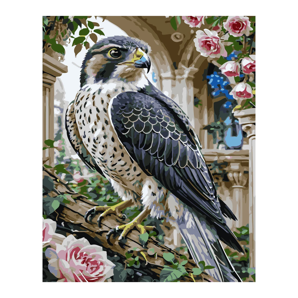 Peregrine Falcon among Roses completed artwork on a clean white background