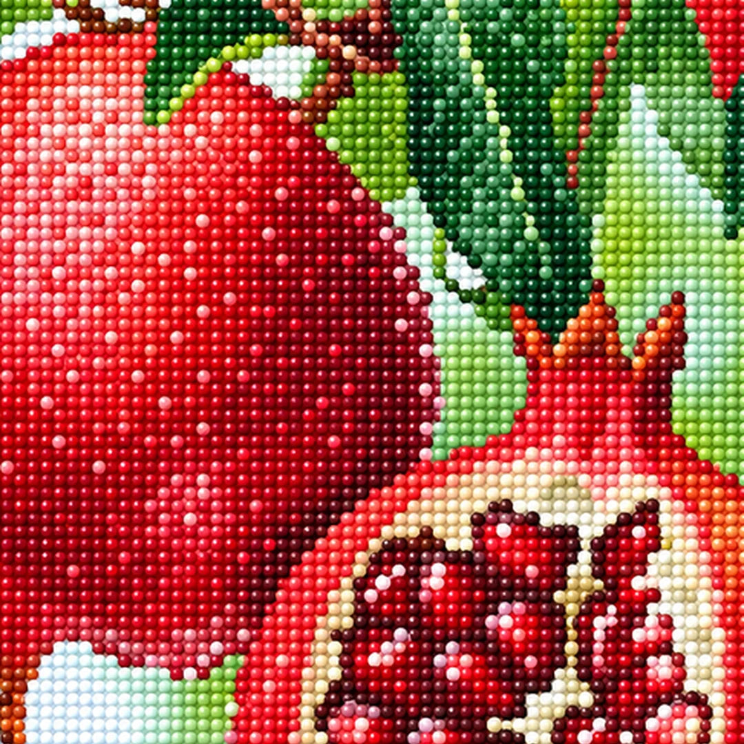 Pomegranate Harvest Diamond Painting Kit detail view