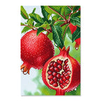 Pomegranate Harvest Diamond Painting Kit hero view