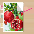 Pomegranate Harvest Diamond Painting Kit process view
