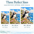 Three size options for the puffin cliffside flowers diamond painting: 20 × 30, 30 × 40, and 40 × 50 cm