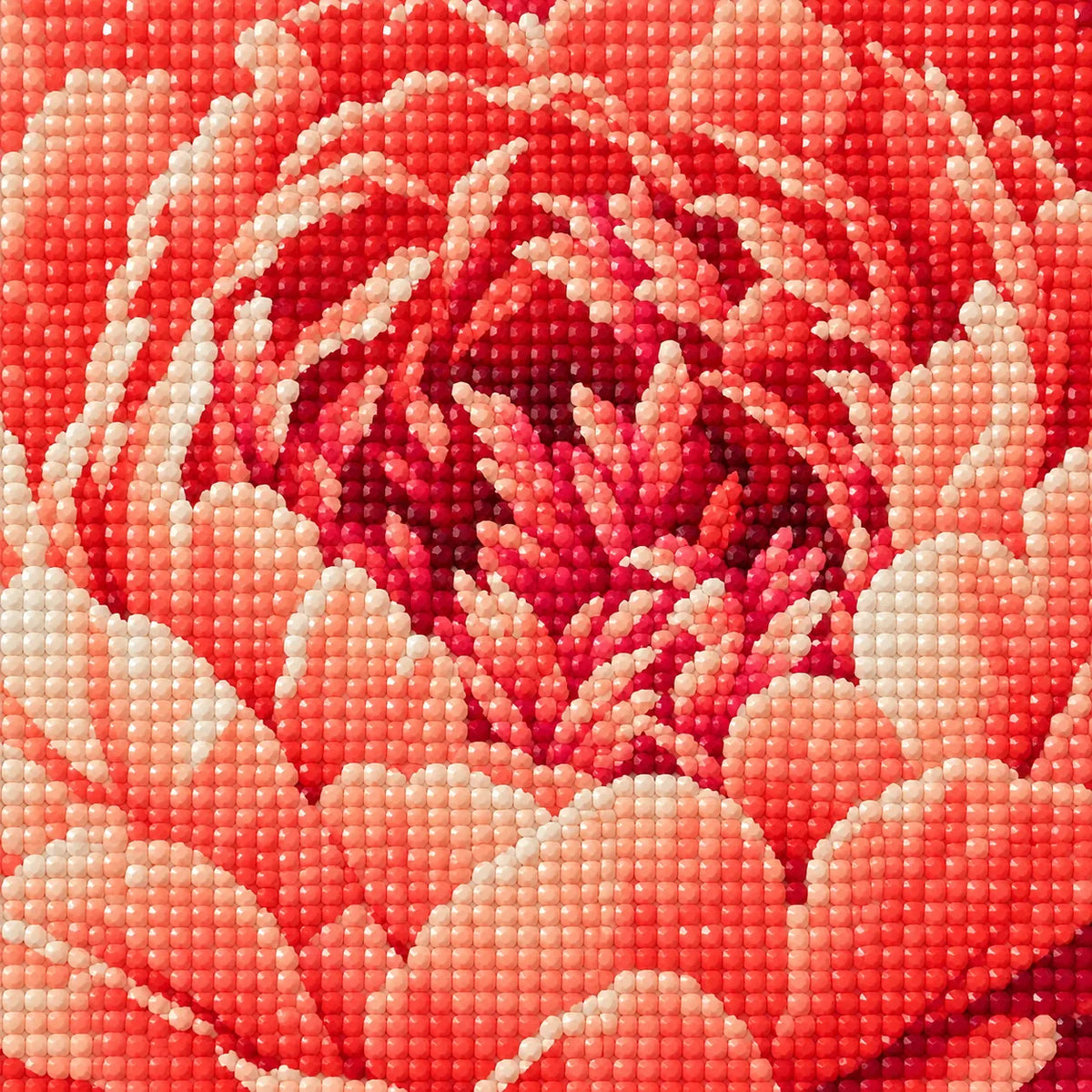 Close-up diamond drill detail of Radiant Coral Bloom