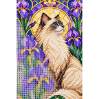 Ragdoll Cat Purple Irises Diamond Painting Kit — canvas and drill material detail