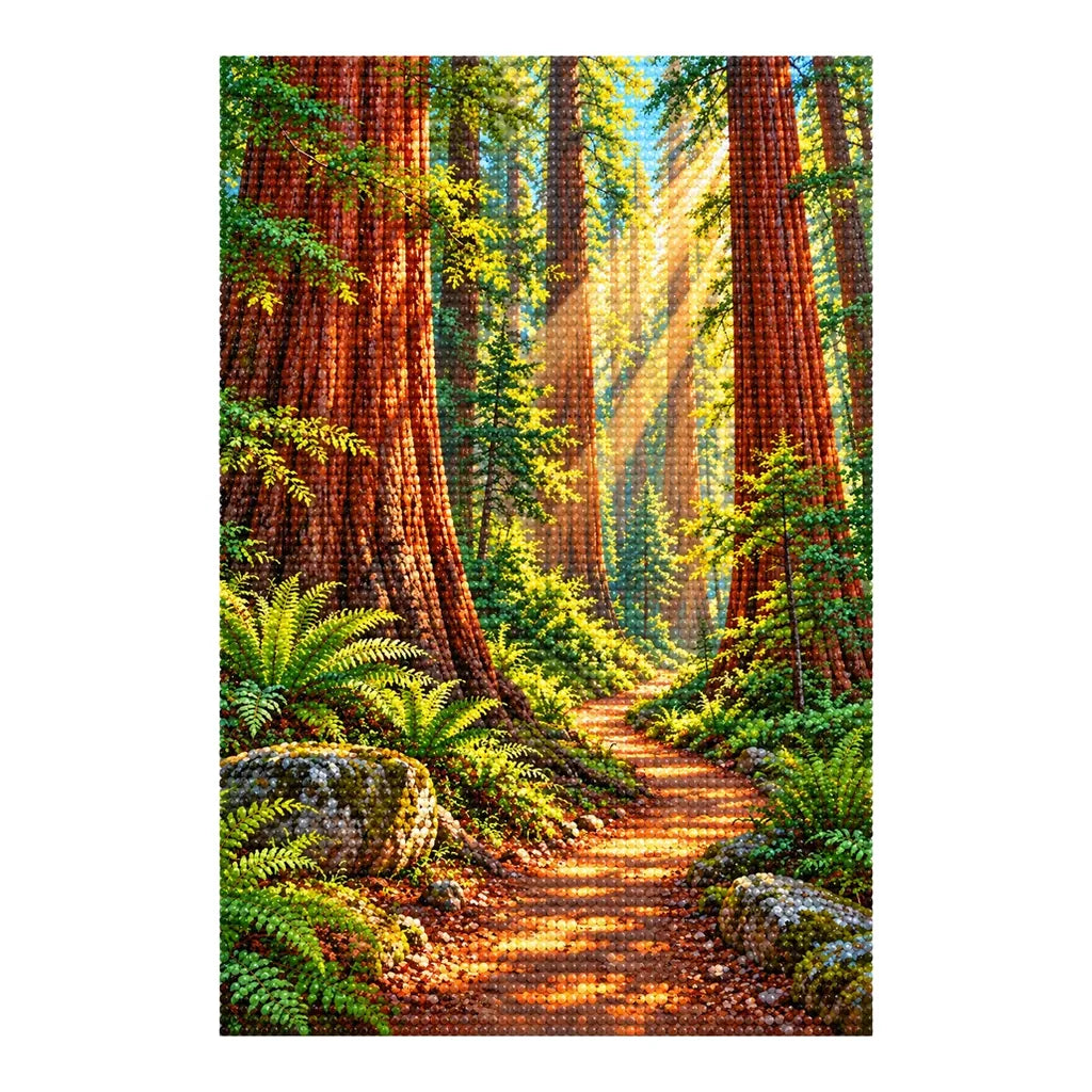 Finished white-background diamond painting of a winding trail through a sunlit redwood forest