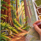 Hands placing drills on the redwood forest path diamond painting canvas