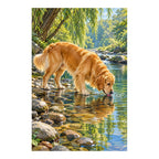 Golden retriever drinking from a woodland stream: original artwork on a clean white background