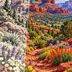 Sedona Red Rock Wildflowers canvas and resin drill detail
