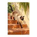 Original white-background artwork of Siamese Terracotta Steps