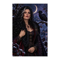Original design of a winter enchantress beside a black raven beneath a crescent moon.