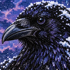 Close-up of sparkling drills across the black raven and snowy feathers.