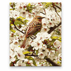 Sparrow among White Blossoms paint by numbers artwork on a front-facing canvas against a white background