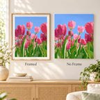 Framed and no-frame comparison for Springtime Tulip Bloom
