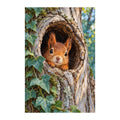 Original white-background artwork of Squirrel Tree Hollow Peek