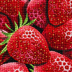 Strawberry Medley Diamond Painting Kit detail view
