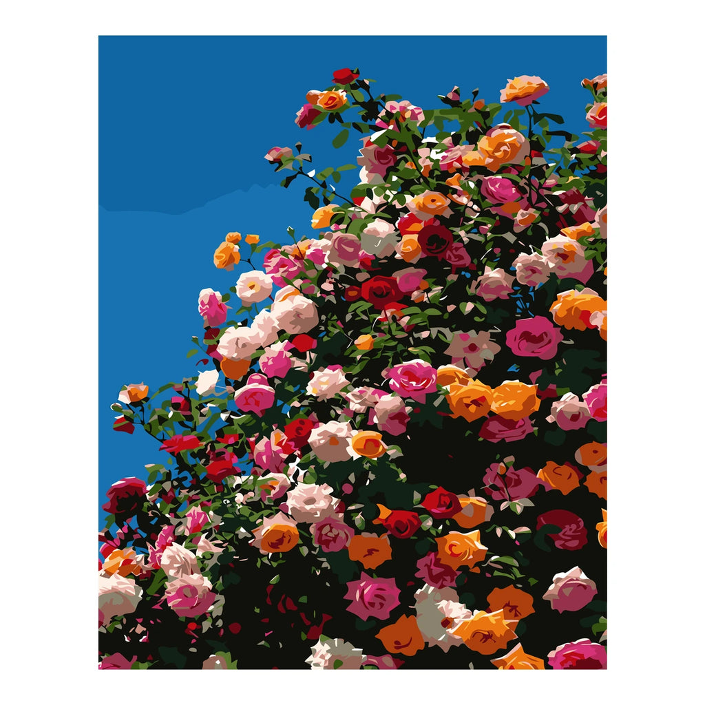 Original artwork for Sunlit Rose Canopy